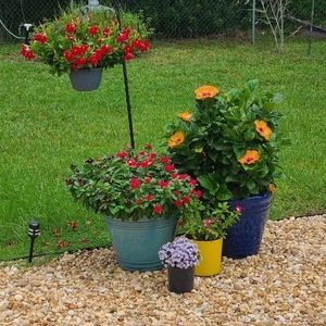 Meet your Posher, Teri